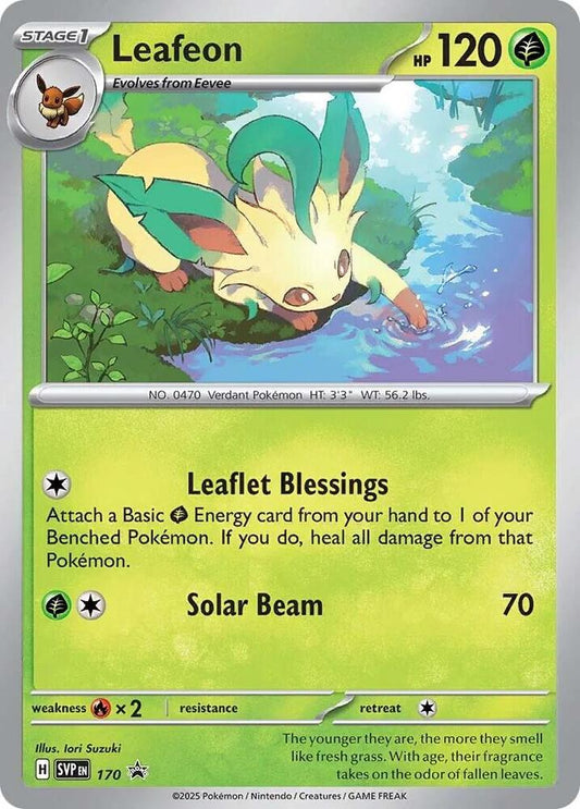 PKM-SVP-170-EN-NM-HO