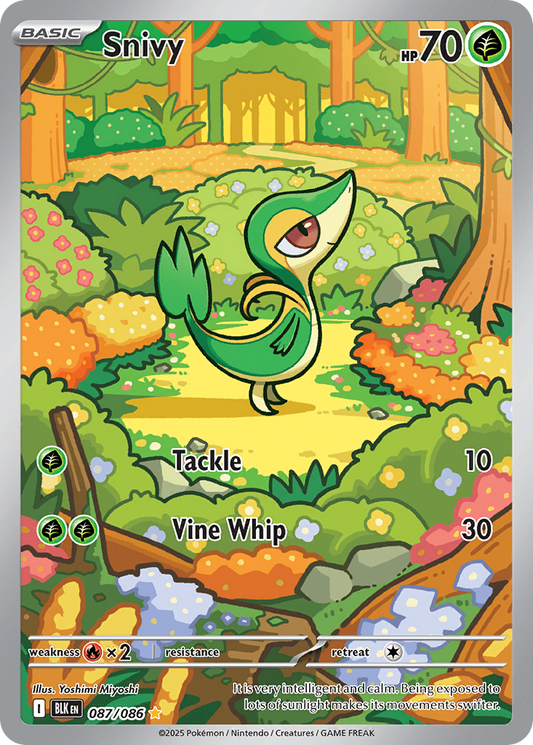 Snivy - Black Bolt #087